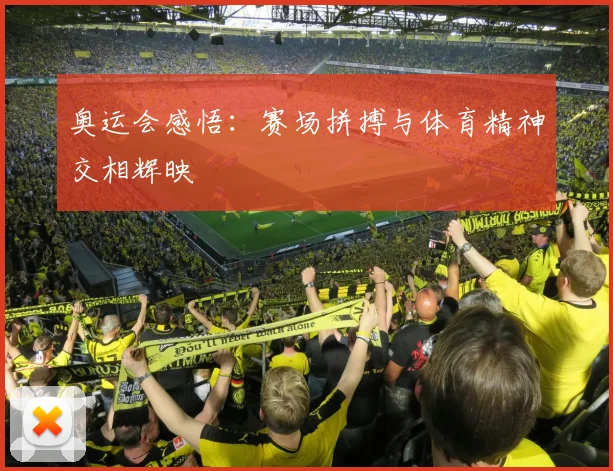 奥运会感悟：赛场拼搏与体育精神交相辉映